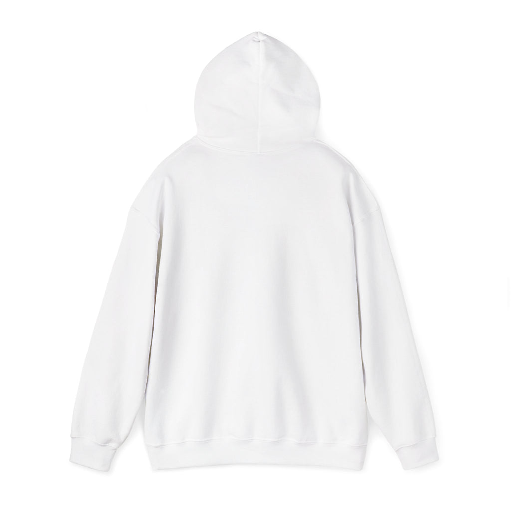 Santa Did IT  Christmas Hoodie