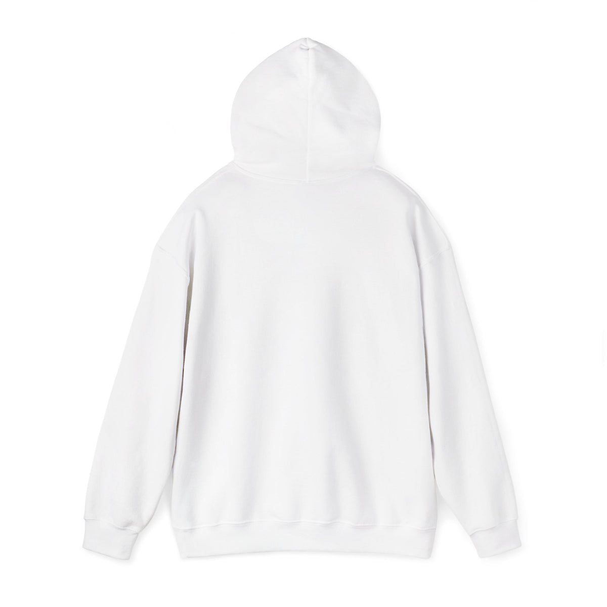 Santa Did IT  Christmas Hoodie