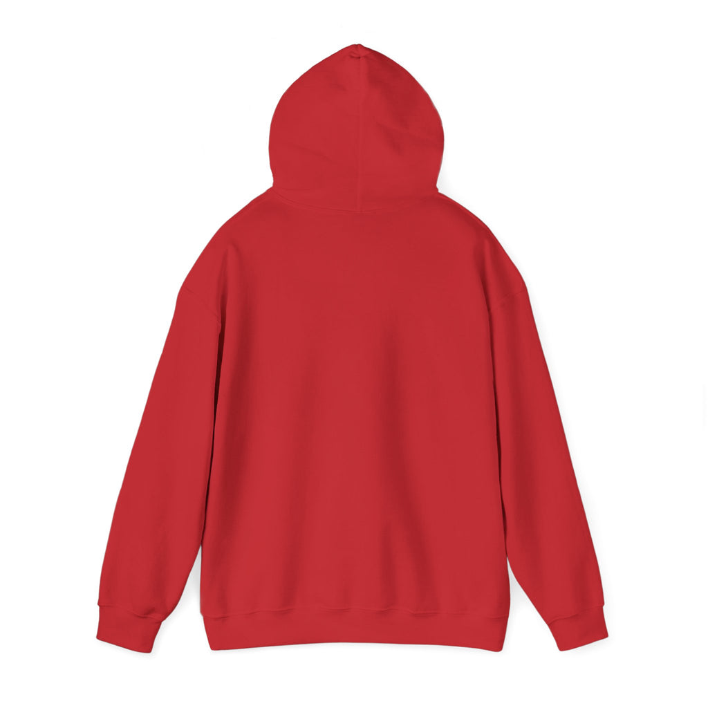 Santa Did IT  Christmas Hoodie