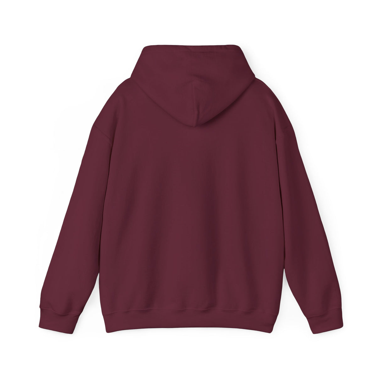 Santa Did IT  Christmas Hoodie