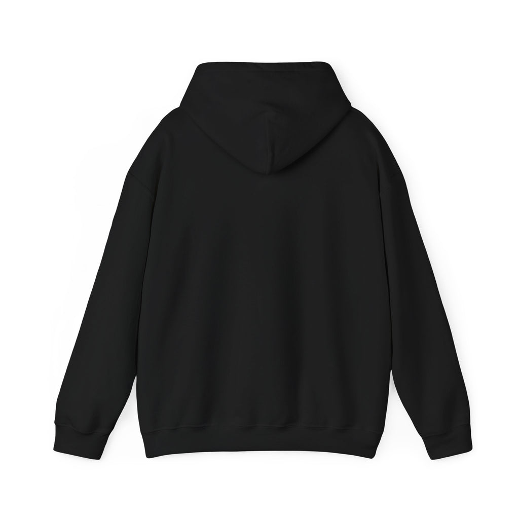 Santa Did IT  Christmas Hoodie