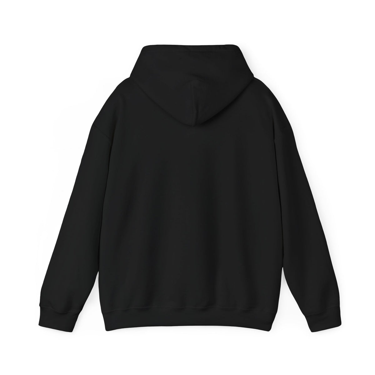 Santa Did IT  Christmas Hoodie