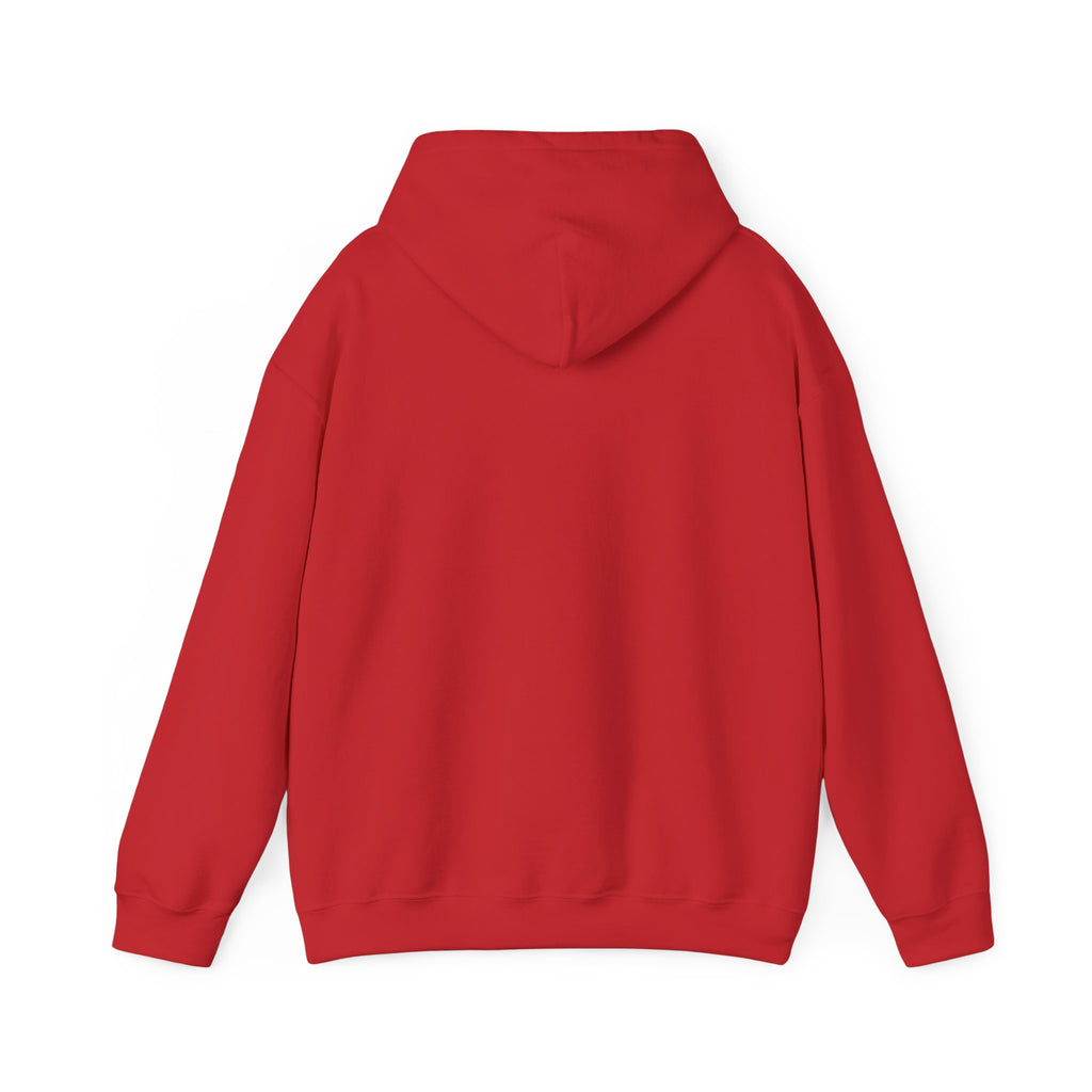 Santa Did IT  Christmas Hoodie