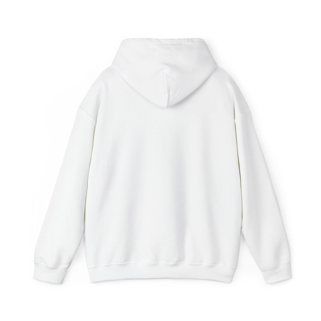 Santa Did IT  Christmas Hoodie