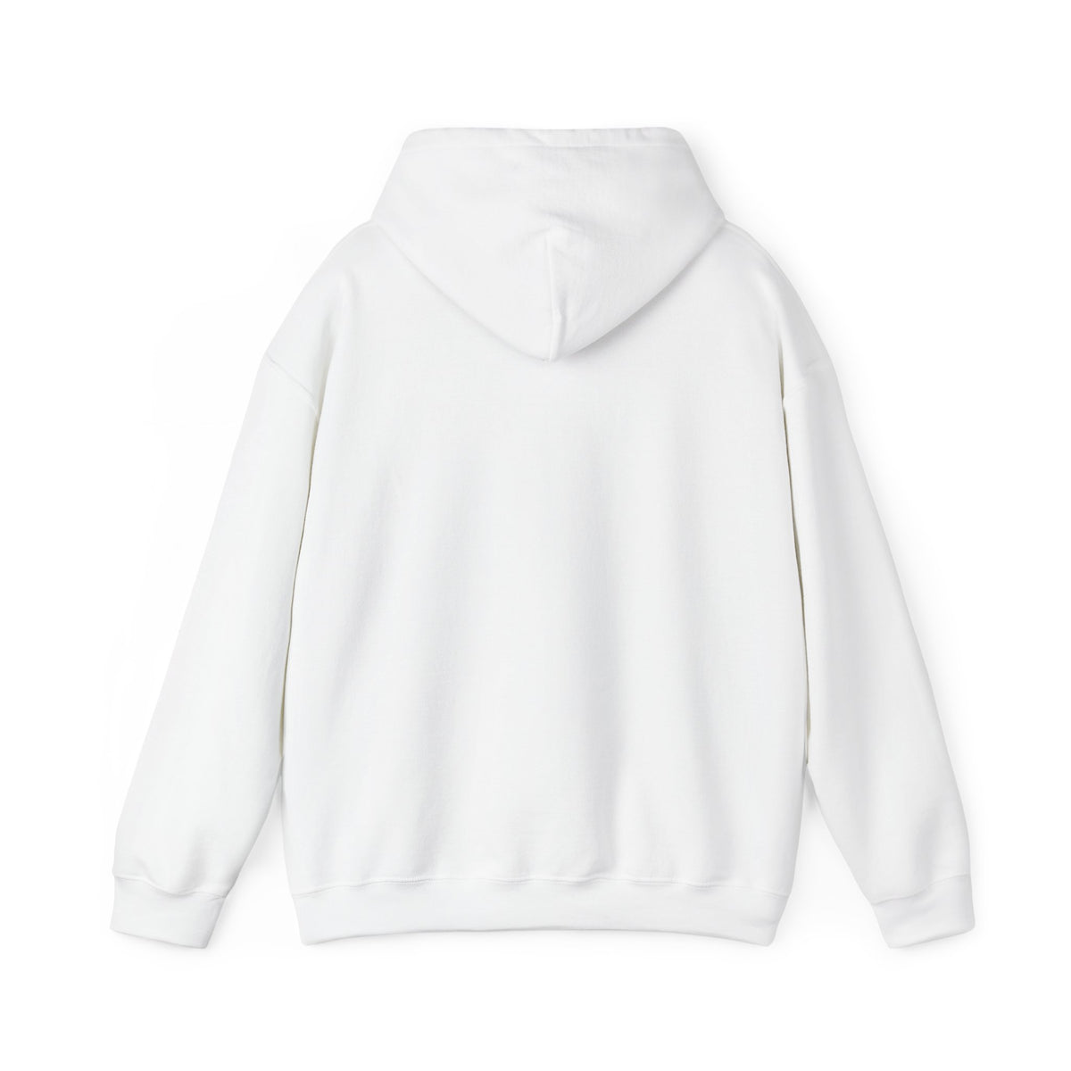 Santa Did IT  Christmas Hoodie