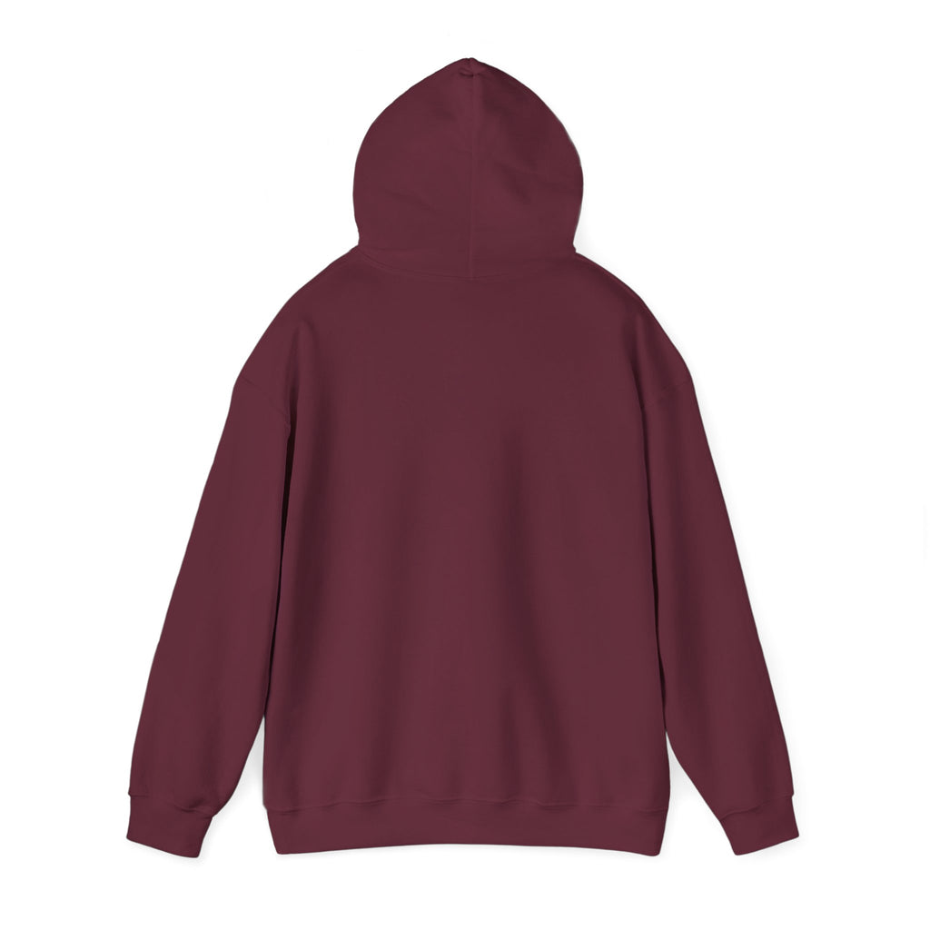 Santa Did IT  Christmas Hoodie