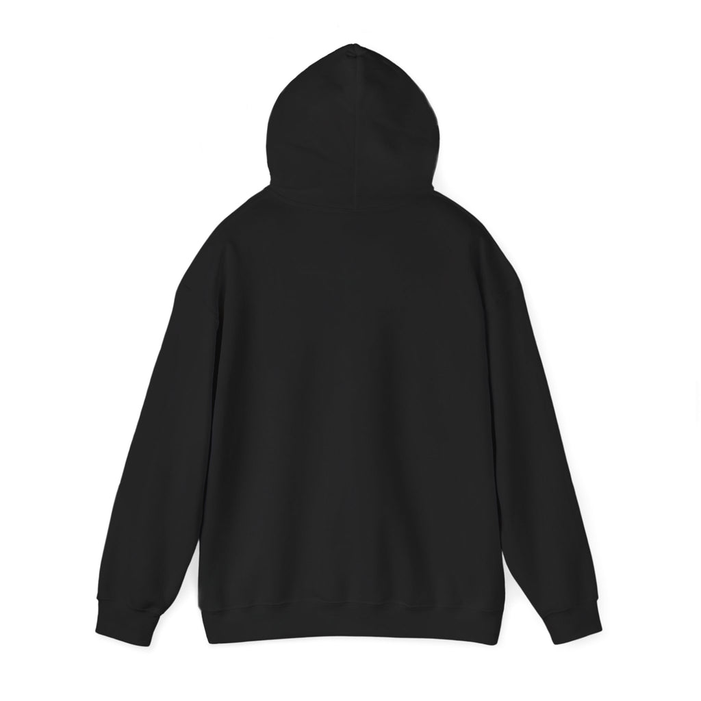 Santa Did IT  Christmas Hoodie